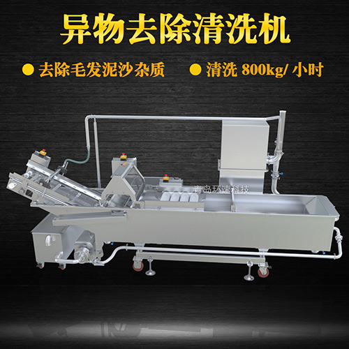 商用專業(yè)果蔬清洗機，氣泡清洗，清洗800kg小時