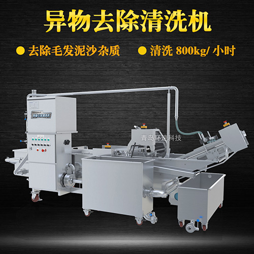 商用專業(yè)果蔬清洗機，氣泡清洗，清洗800kg小時