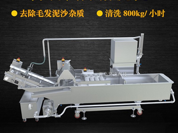 蔬菜清洗機(jī)，氣泡清洗，清洗800kg/小時(shí)