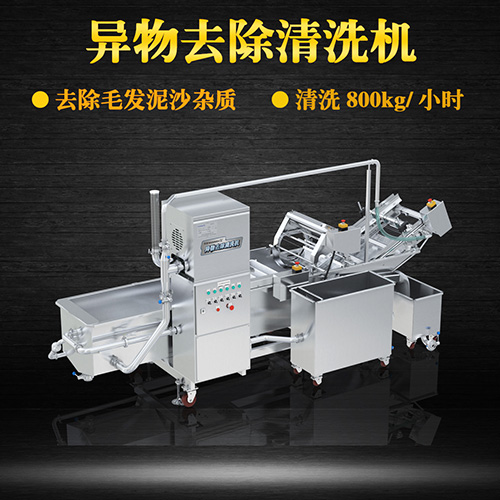 電動洗菜機(jī) 果蔬清洗解毒，全自動清洗